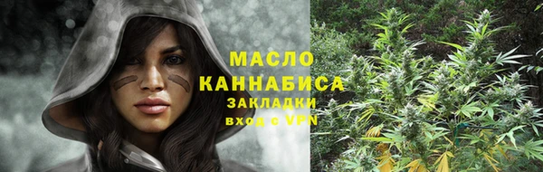 дмт Алзамай
